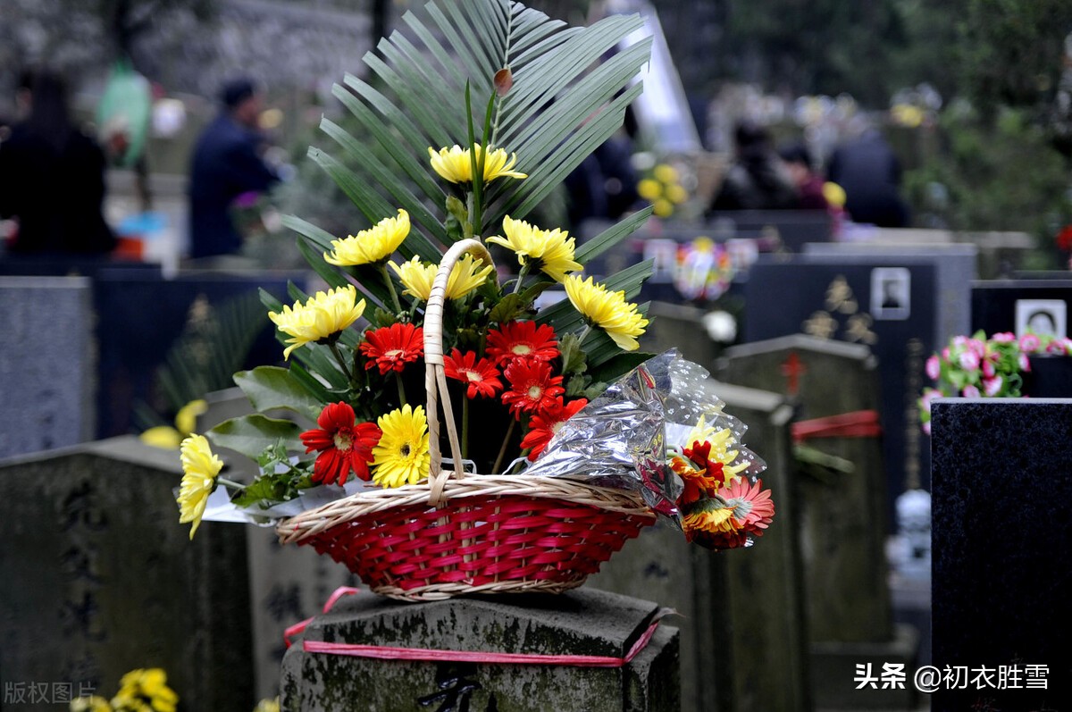 赏读清明宋诗六首：一笠戴春雨，昨夜梦还家