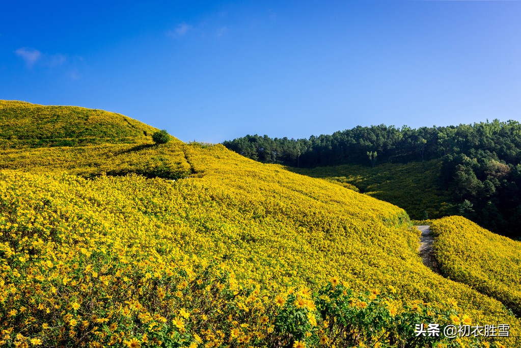 陶渊明《拟挽歌辞》三首，直面生死，豁达冷静，托体同山川