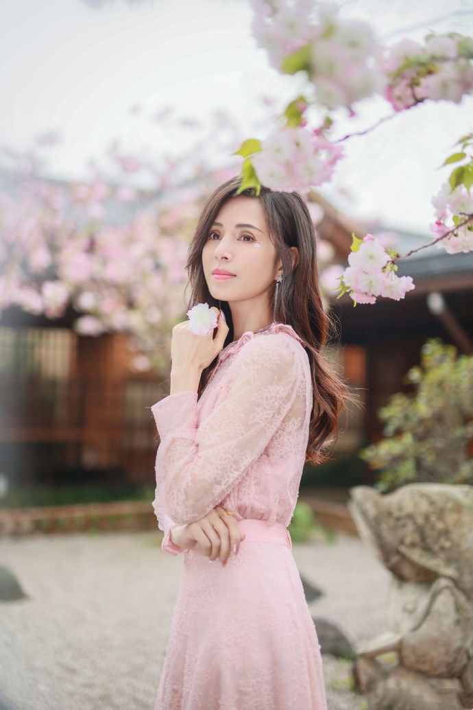 李若彤一袭粉色蕾丝裙装好显嫩，温柔典雅，樱花树下美成小仙女