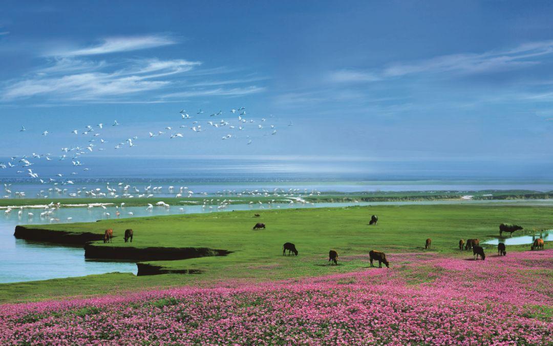 中国第一大淡水湖，鄱阳湖的“前世今生”