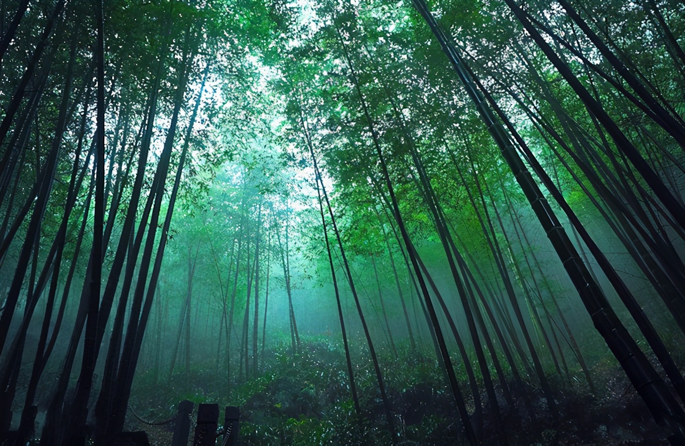 五一出门怕人挤人？这份人少景美的小众旅行清单一定适合你