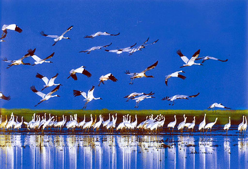中国第一大淡水湖，鄱阳湖的“前世今生”