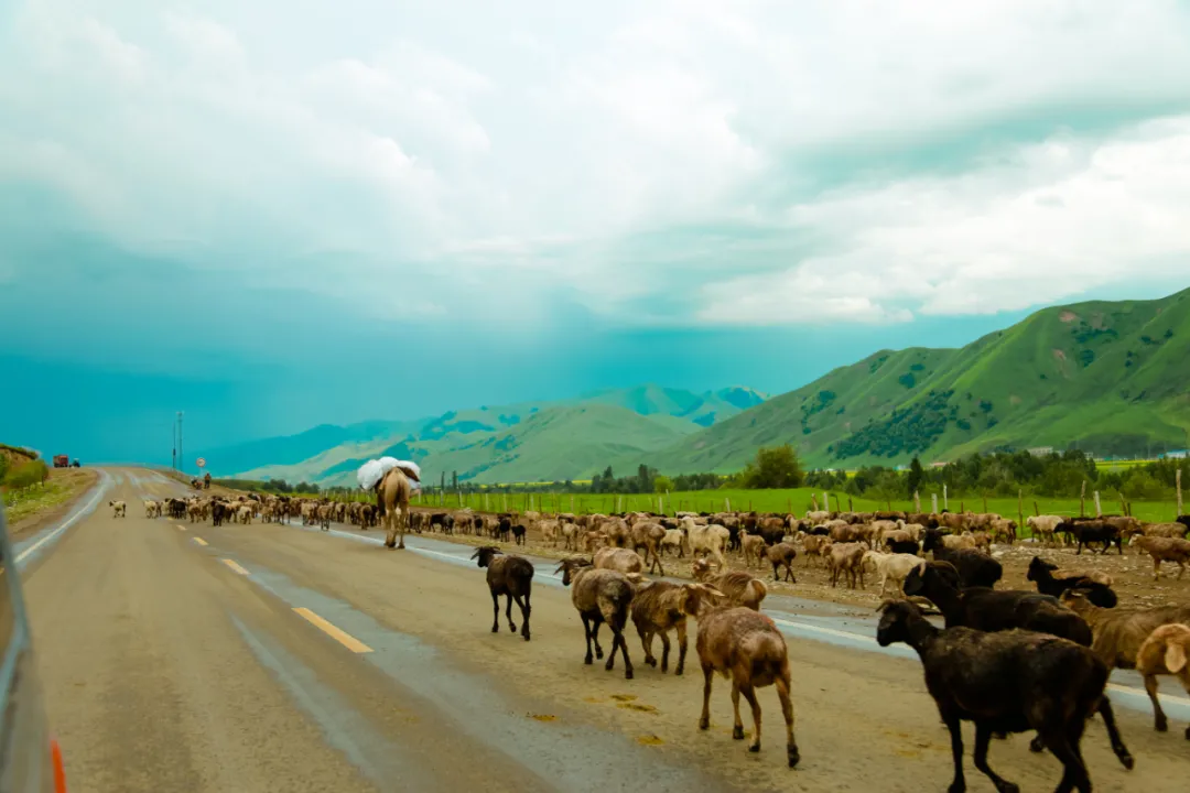 新疆伊犁旅行，那些LOCAL体验和不为人知的重要小心思