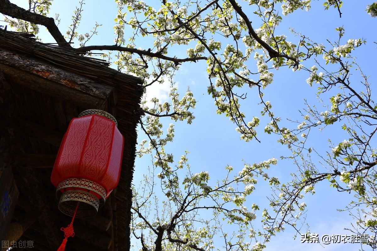 苏轼的梨花，人生看得几清明，这里的“清明”是指梨花还是节气？