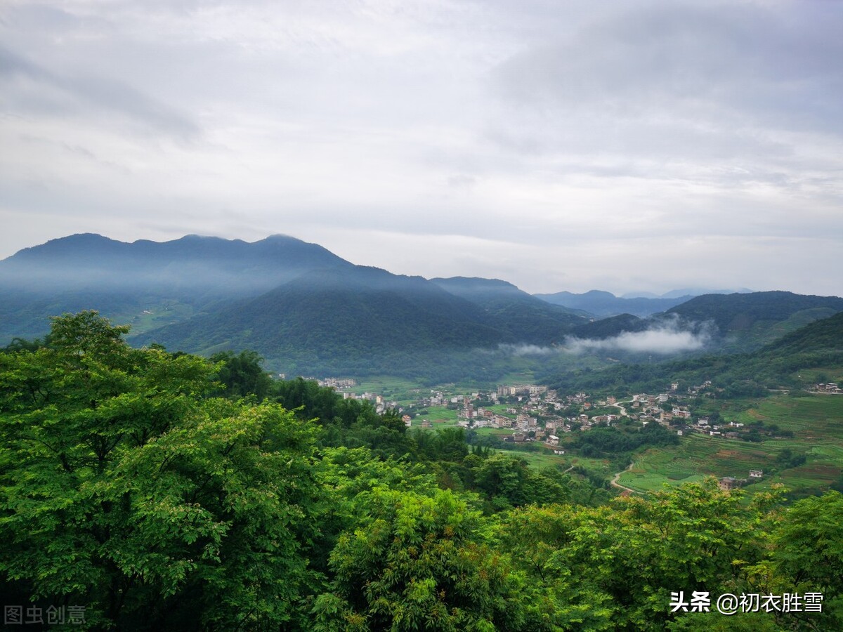 夏诗八首，触摸蓬勃的夏，溯源夏天，夏朝，立夏，夏人与夏之美