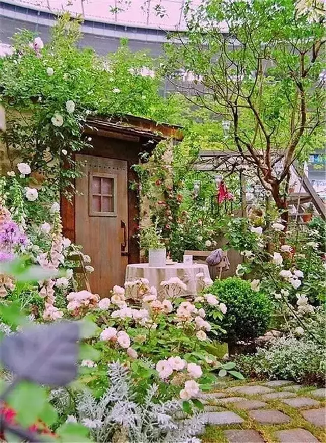 这么美的庭院，真想住到地老天荒