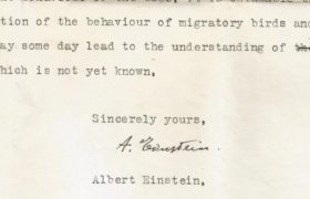 爱因斯坦是穿越者？研究发现：1949年他已预言动物的超级感官