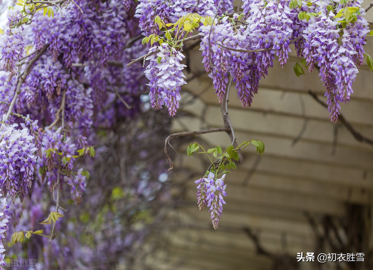 古代送春日是哪天，是落花时，是立夏还是农历三月三十日？