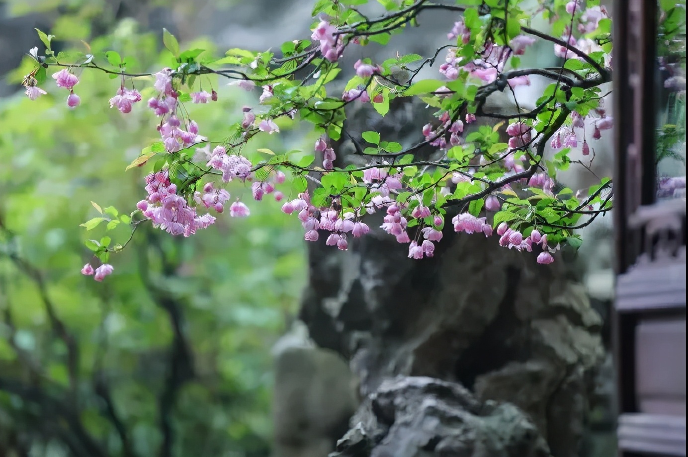 一座静和小院，偷得浮生一处清幽