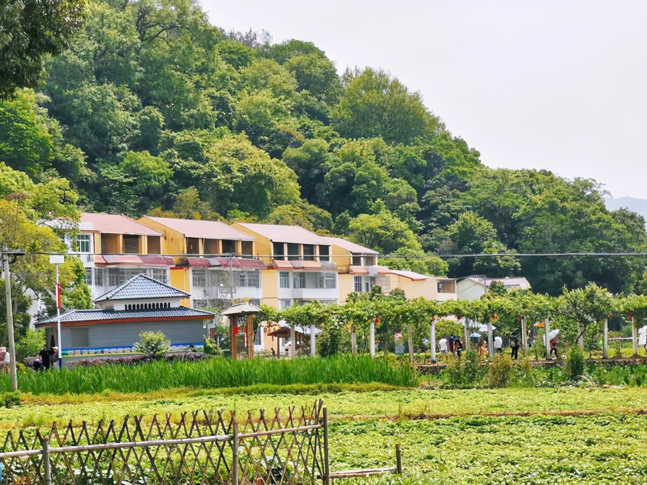 福建这个宝藏村落，有着优美的田园风光，还被称为沙县小吃第一村