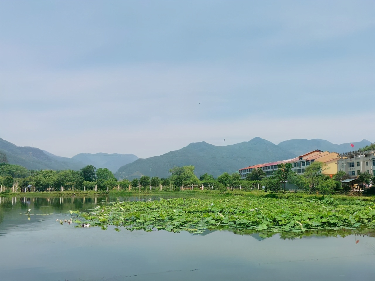 福建这个宝藏村落，有着优美的田园风光，还被称为沙县小吃第一村