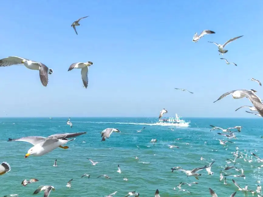 山东威海旅居避暑，走进“海滨花园”，享受惬意慢生活