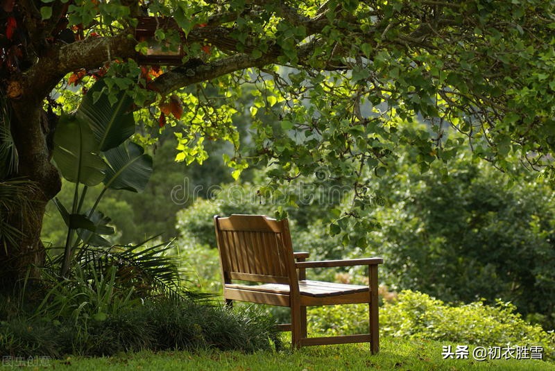 春去夏来，赏读立夏诗词六首，繁花尽，槐柳阴，梅子雨，樱桃熟