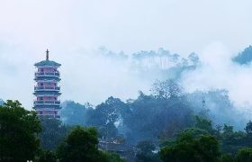 广东这个地方，赏梯田花海、探险栈道、探访梅溪古镇，早该火了