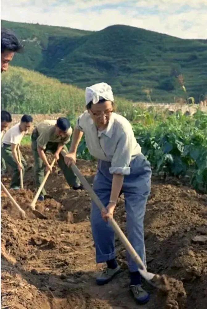 您见过如此高清的毛主席周总理吗？图9是挖沟除草的江青