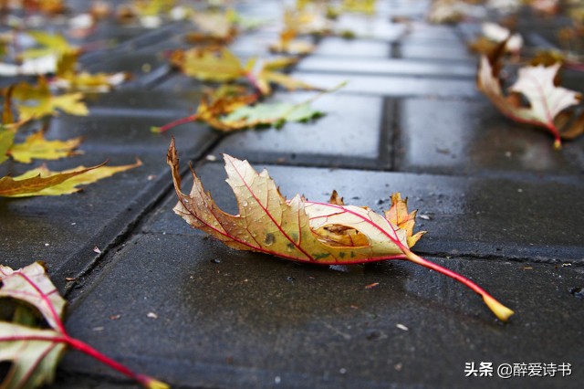 小说：古巷幽幽岁月深 青石小街留旧痕