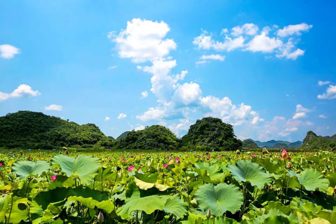 这12个旅行地，藏着最清新的初夏，一个比一个美