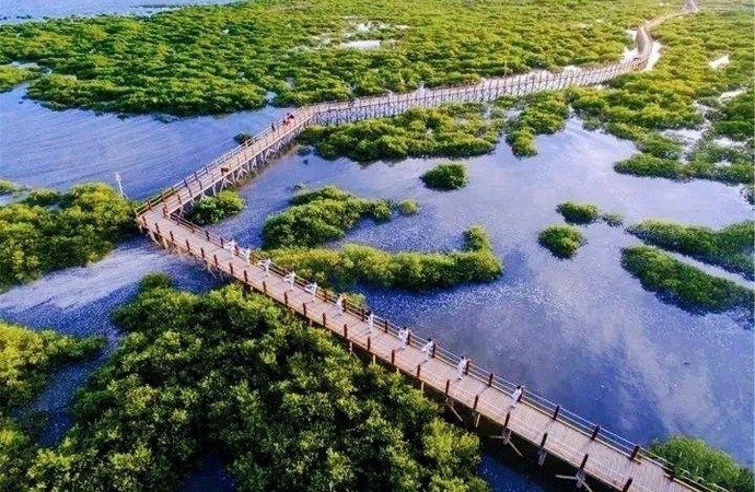 海景媲美三亚，美食不输广州，广西这座海滨小城，最适合夏天出发