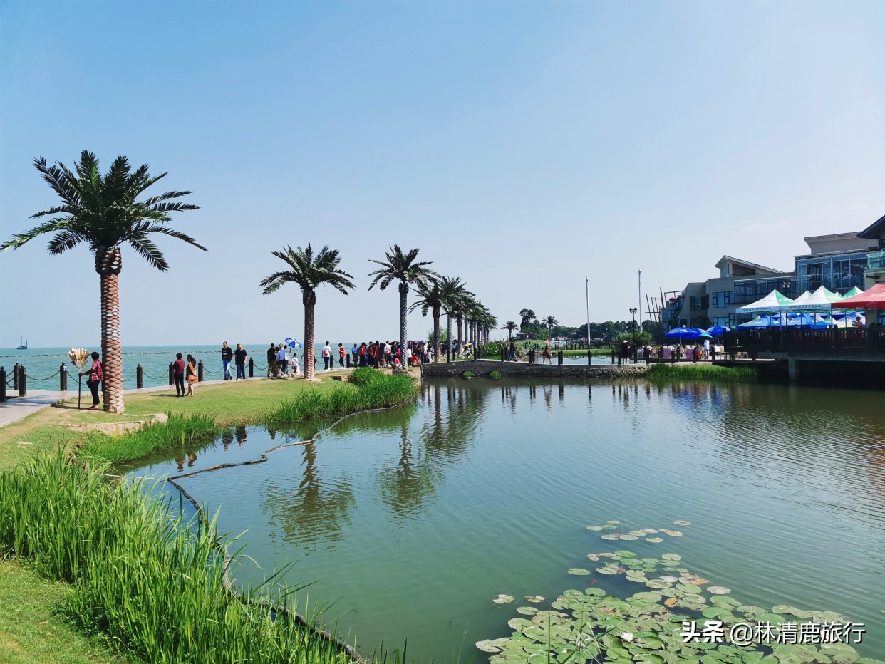 太湖私藏的高颜值小三亚：蓝天碧水似海边，免费且公交直达
