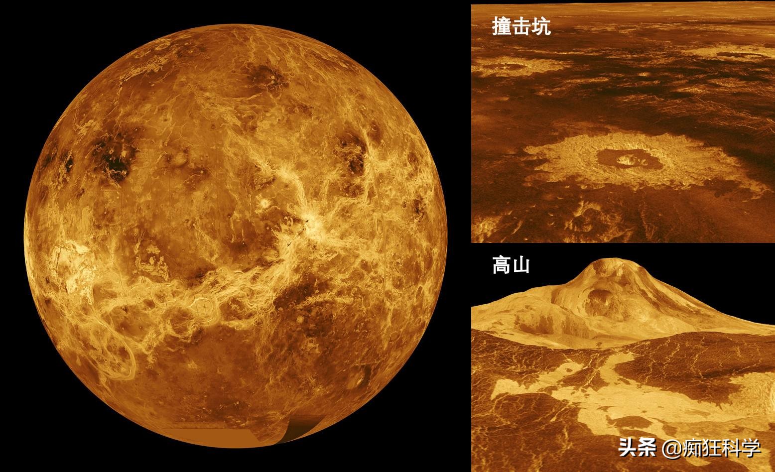 科学家认为金星上没有生命，而木星云中存在奇异的生命形态