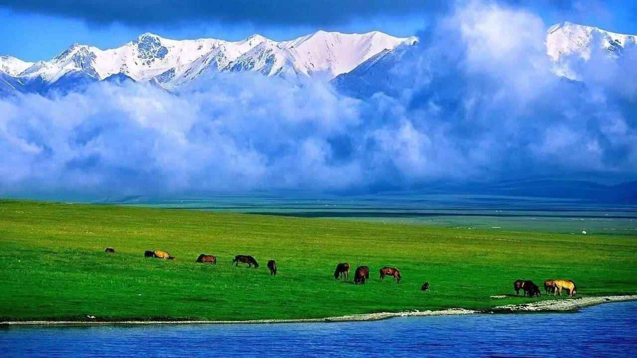 中国六大草原，内蒙古占两个，新疆、四川、西藏各一个，青海半个