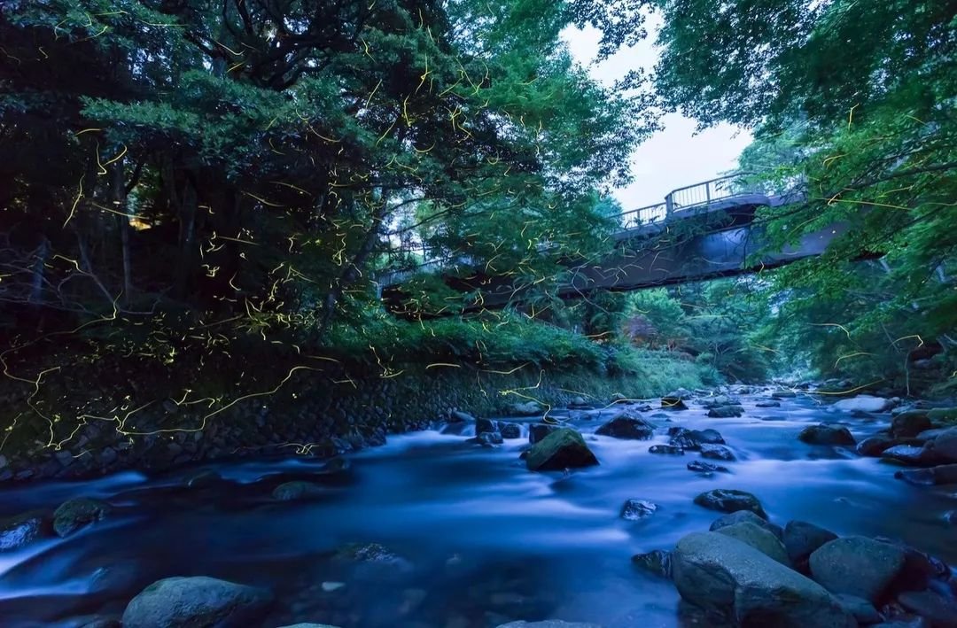 中日混血大格格陈尸荒山，殉情还是被逼至今成谜，周总理为她遗憾