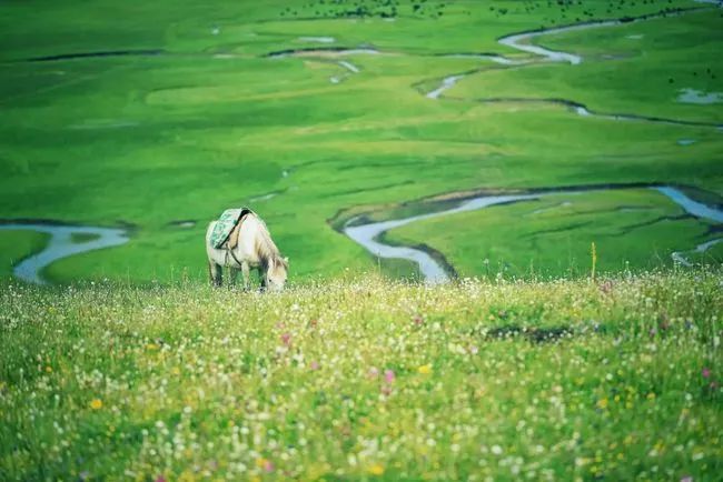 这个地方才是亚洲旅行地Top1，25个景点美了千年，却低调万年