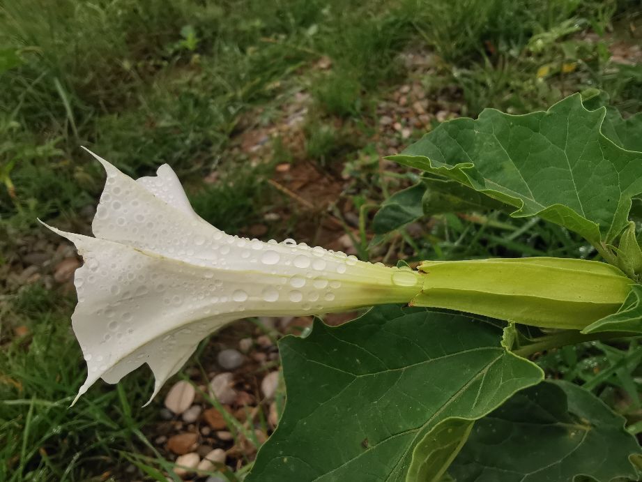 散文丨熊红久：时间的细节