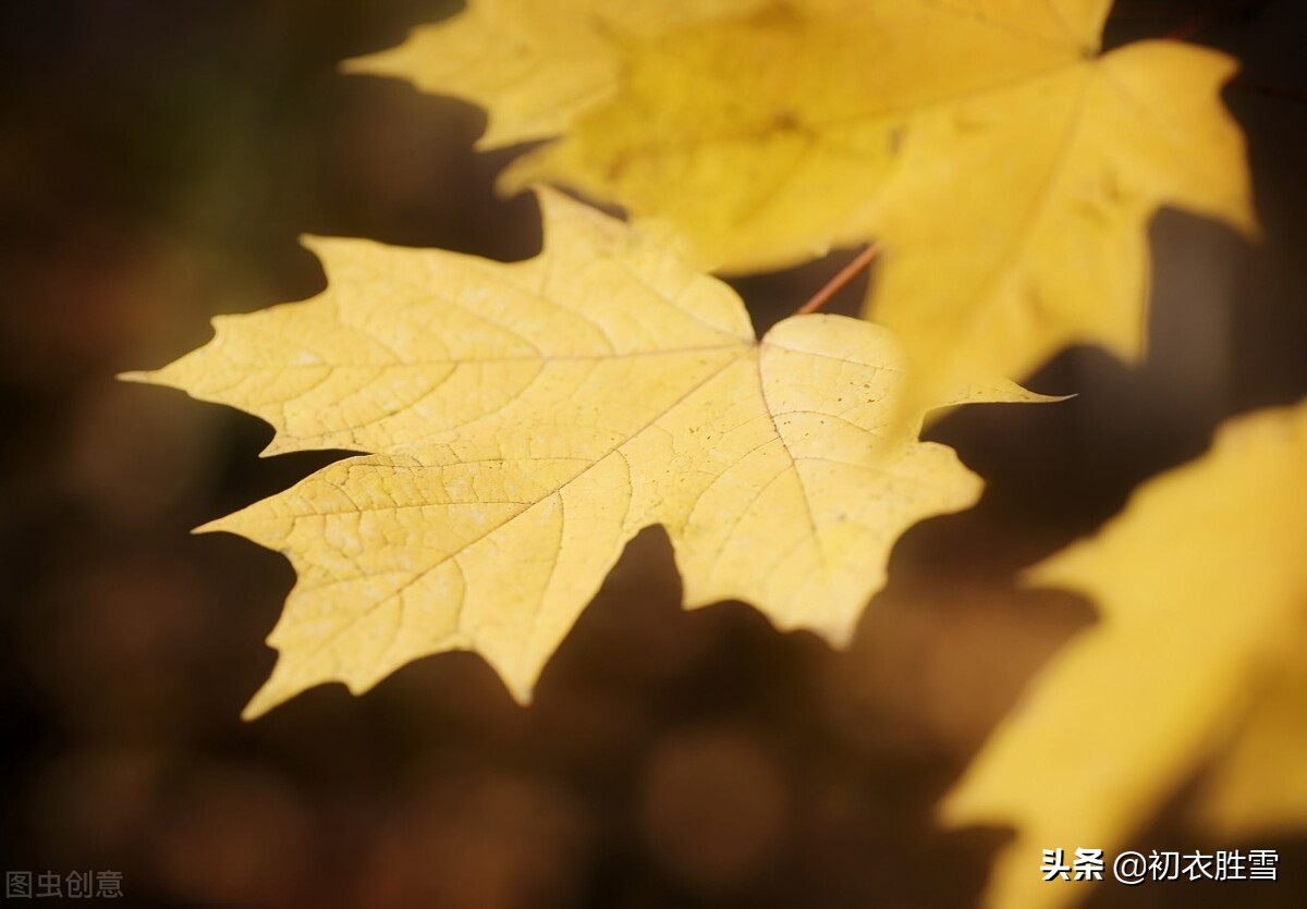 李煜《相见欢》这首词，写的是七夕，他生在七夕，死在七夕