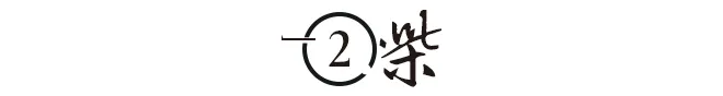 周有光发明汉语拼音，与张允和相守70年，被上帝遗忘活了112岁