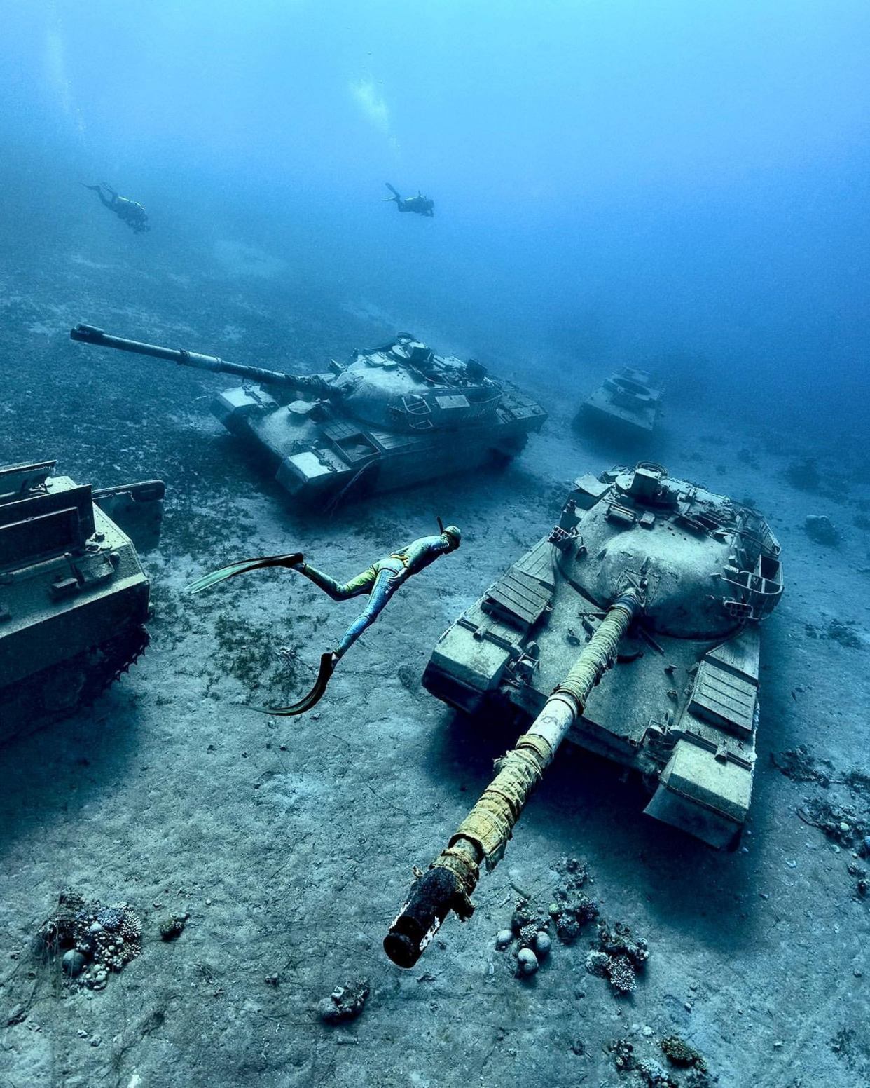 美国把废弃的坦克扔海里，多年后成了这样