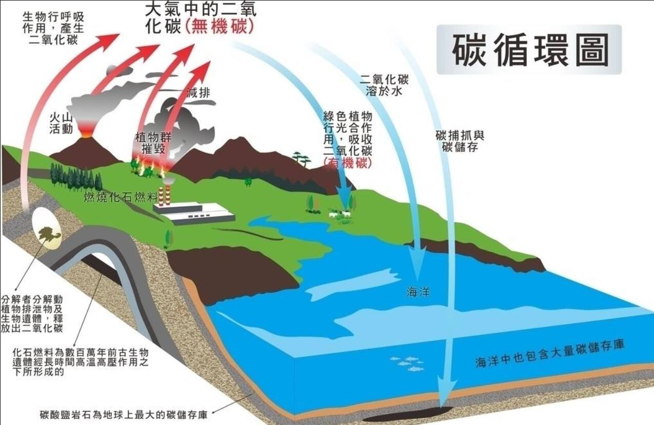 南非现零下9.9度的低温！地球大变了？研究：它在吸碳，比预期多