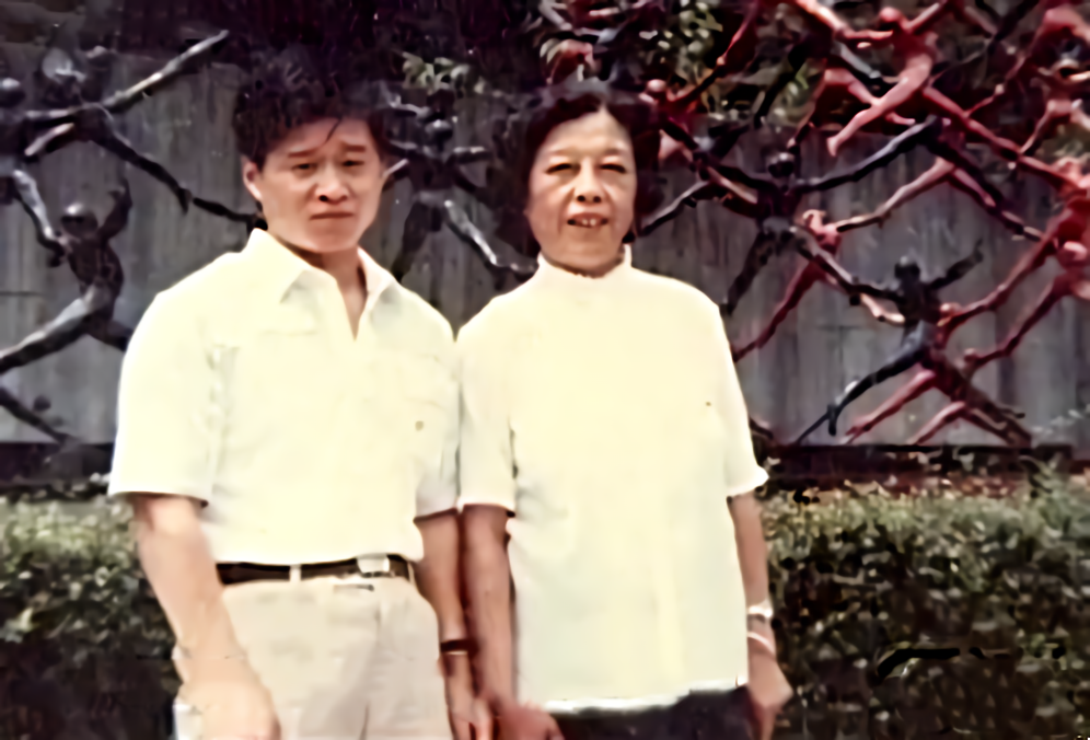 中国父母养育日本遗孤30年，生母到中国寻子，全家由此命运改变