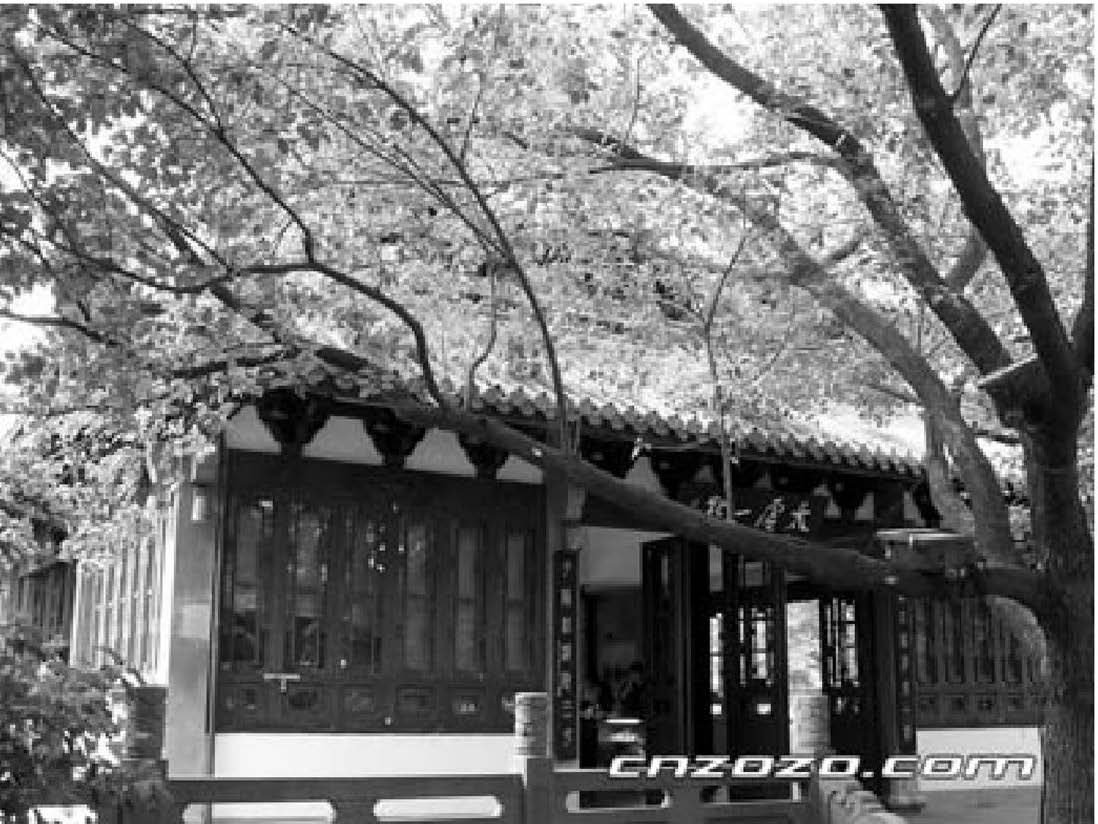 杭州百年老照片，还能认出哪些