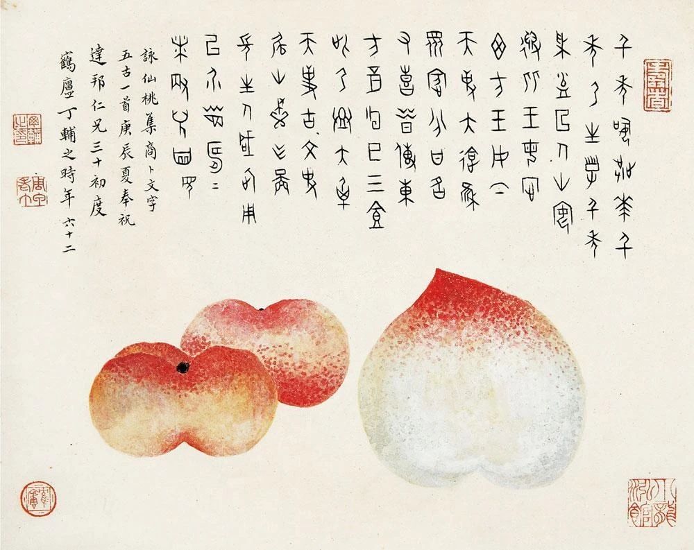 以没骨法的绘画为主要绘画技法——丁辅之笔下的水果更加水润