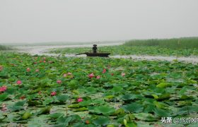 盘点山东4大天然湖泊，微山湖面积最大，你去过几处？