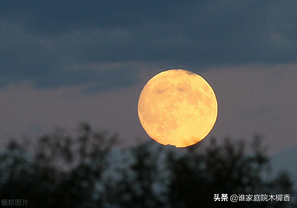 中秋夜，与弟弟分别七年的苏轼，写下这首水调歌头，情真意切