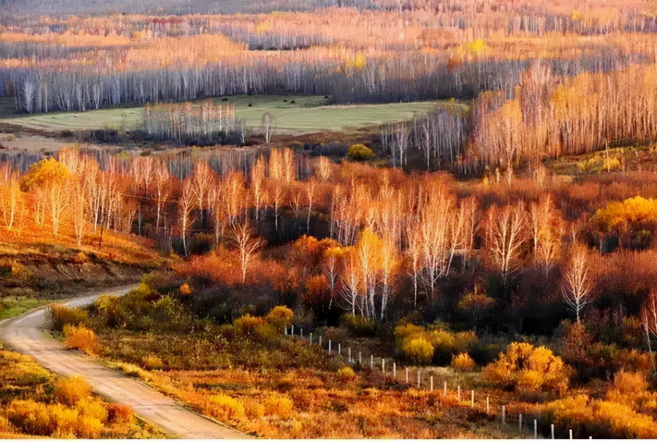 开往“中国最美秋天”6条自驾路线，条条都是NO.1，沿途美成天堂
