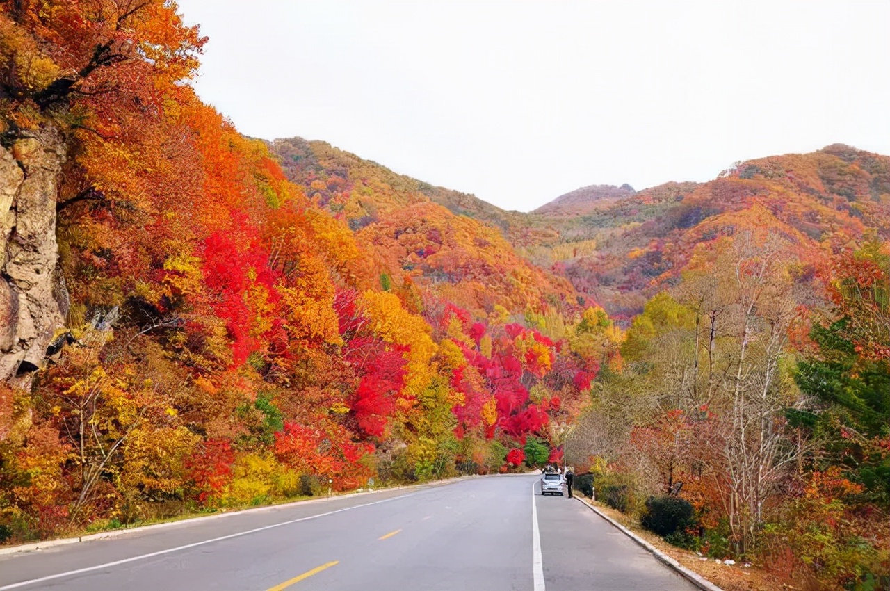 开往“中国最美秋天”6条自驾路线，条条都是NO.1，沿途美成天堂