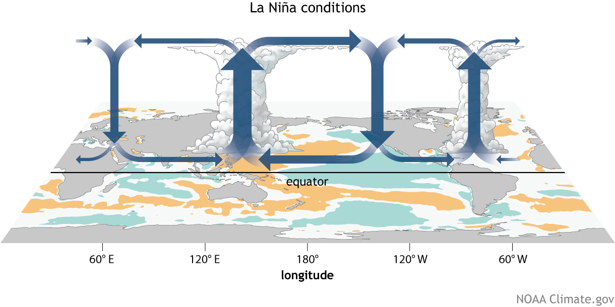 冷冬标志性事件到来？NOAA确认拉尼娜80%，今年冬天究竟有多冷？