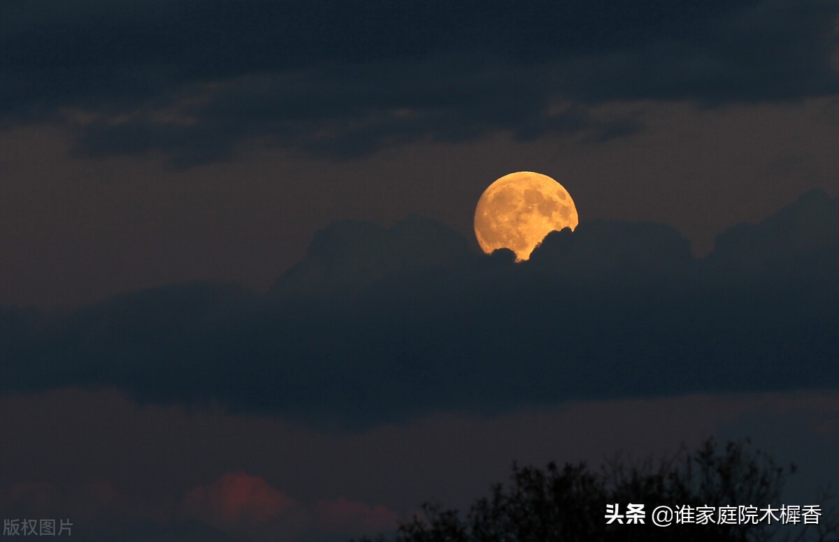 中秋夜，与弟弟分别七年的苏轼，写下这首水调歌头，情真意切