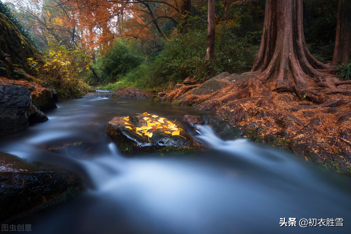 晚秋秋水诗词五首：秋水才深四五尺，野航恰受两三人