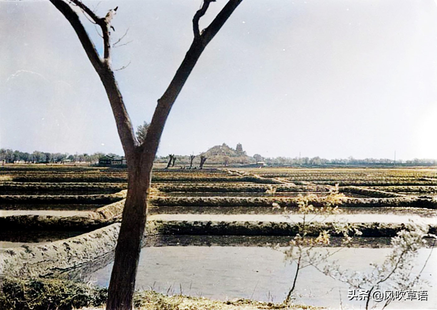 1938年的北京玉泉山，遍地布满鱼塘，定光塔上搭着脚手架