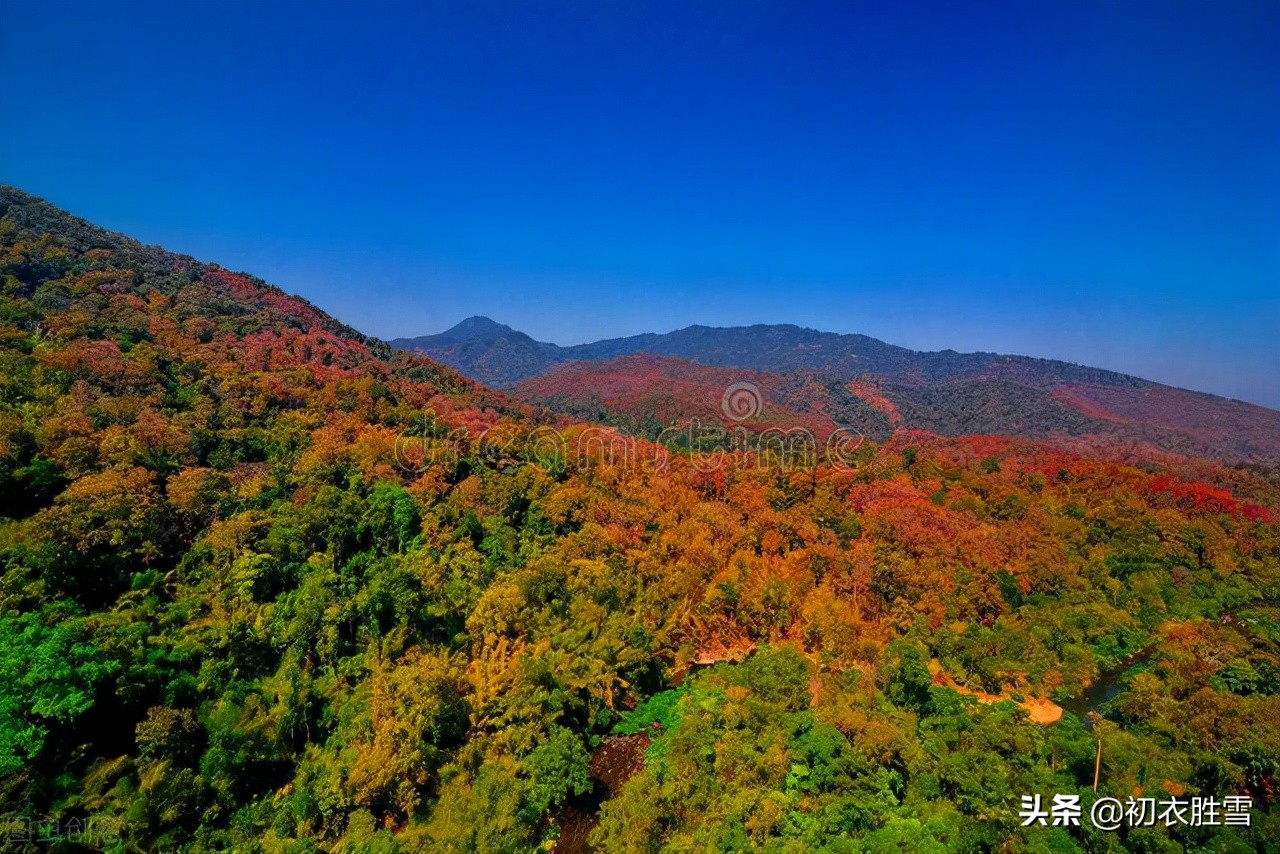 二十四节气霜降，明丽诗词四首，霜降天宇晶，极目万山横