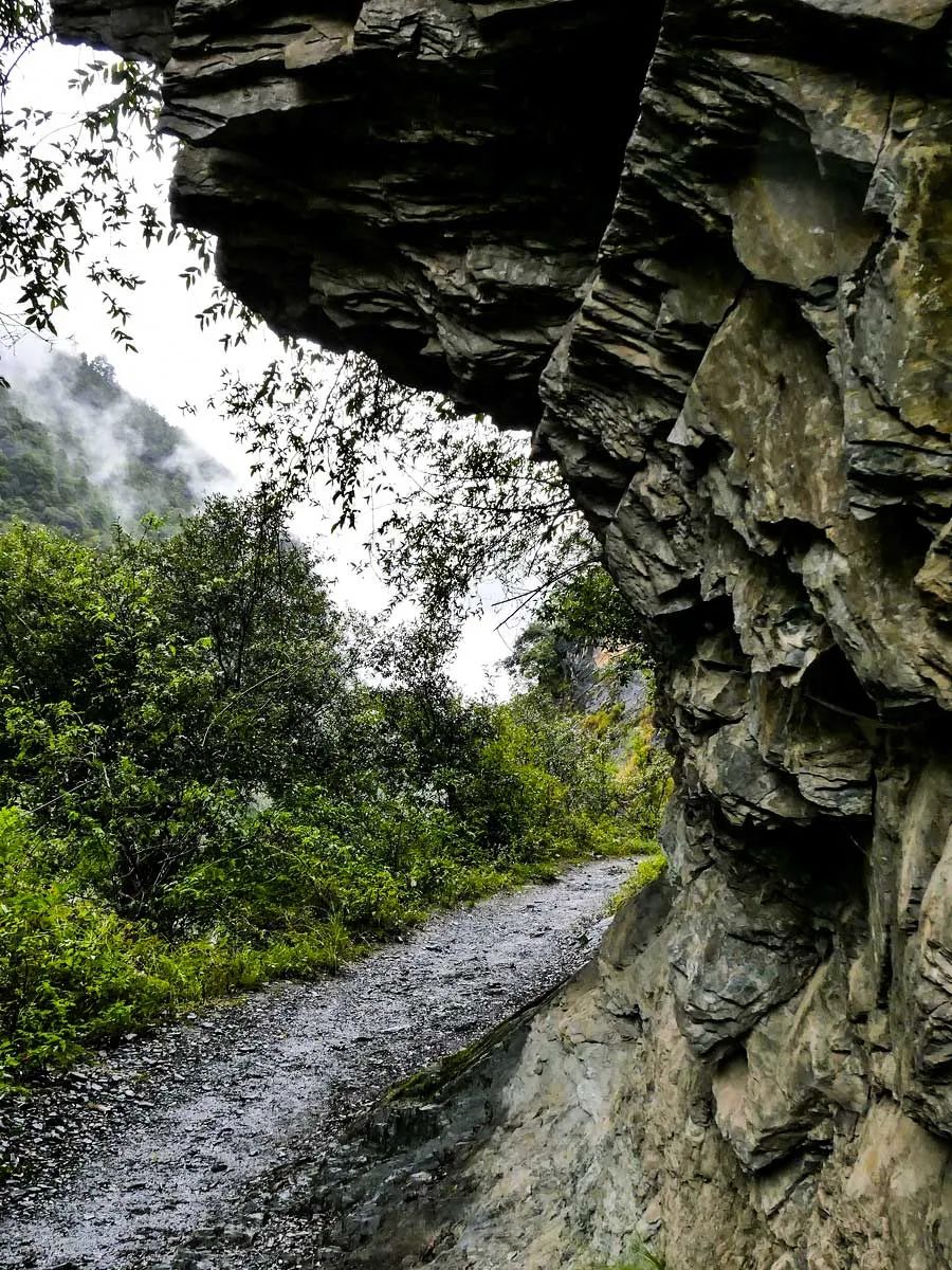 想要看滇西的秋日风光，就选这条自驾线，一路都是秋日好风景