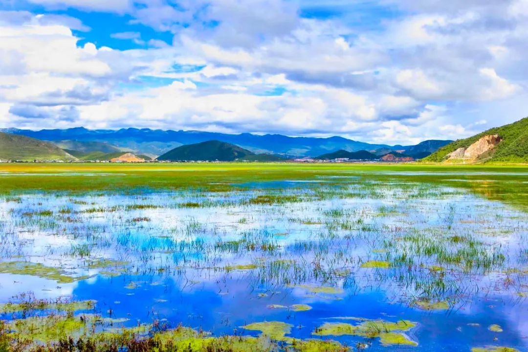 想要看滇西的秋日风光，就选这条自驾线，一路都是秋日好风景