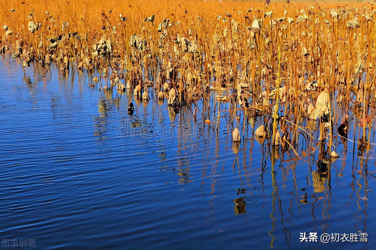 五首古诗里的穷秋，大河平野正穷秋，清素高旷，大气苍凉