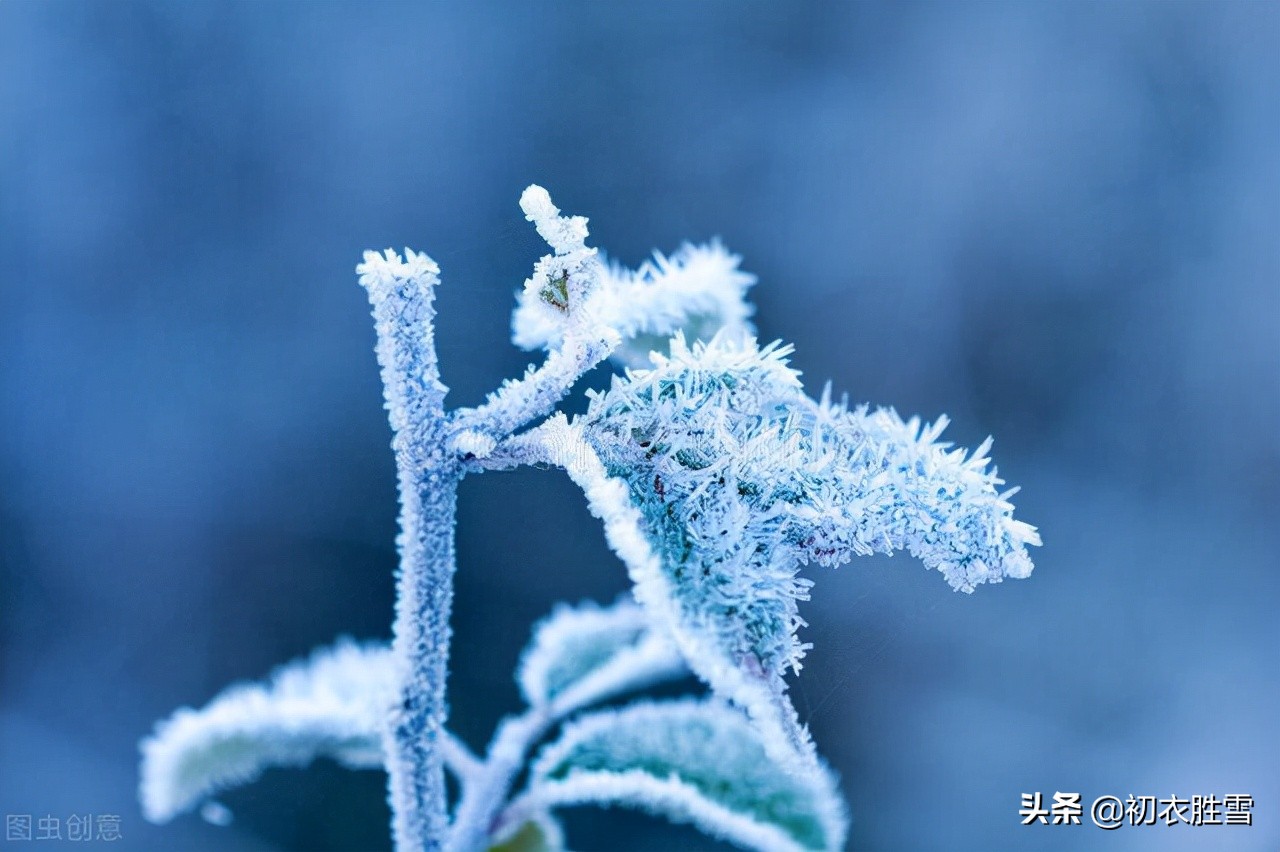 屈原宋玉杜甫的四首悲秋诗，来了解他们的悲秋，是一种什么情怀？