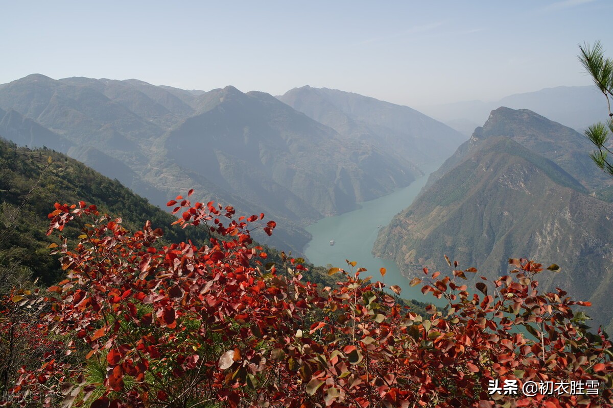 大气爱国重阳节诗词六首：俯仰人间今古，寥廓江天万里霜