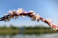 蓼花古诗五首：十分秋色无人管，半属芦花半蓼花